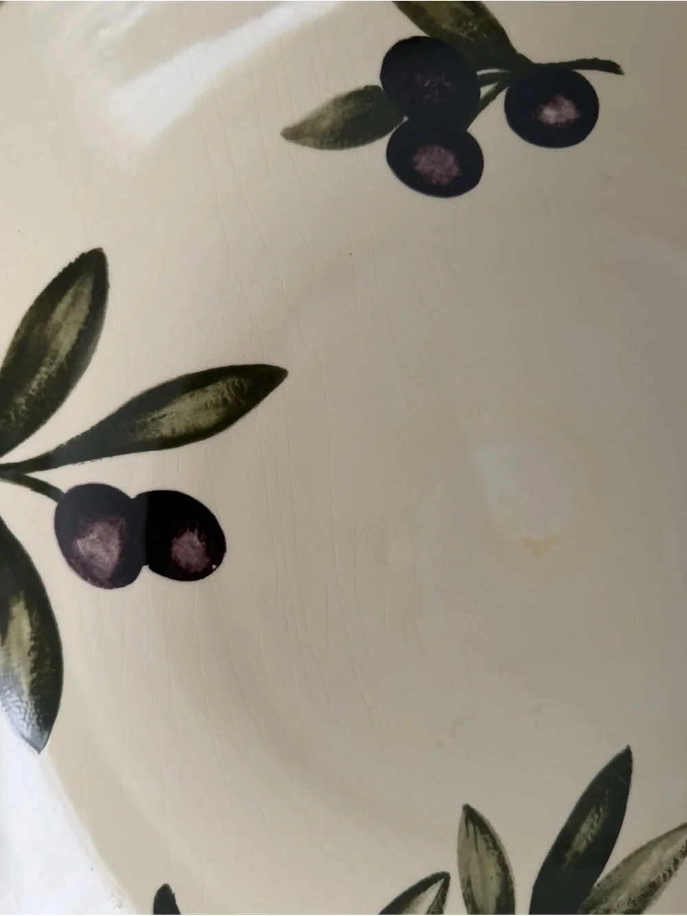 Williams Sonoma Liguria Black Olive 13